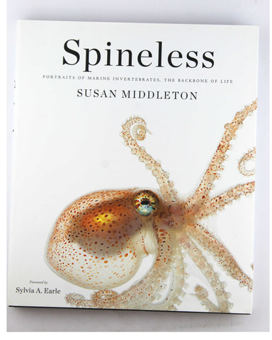 Spineless: Portraits of Marine Invertebrates, the Backbone of Life, by Middleton, Susan  